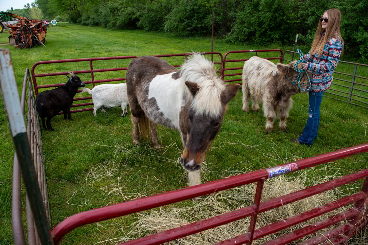 animals 6-g